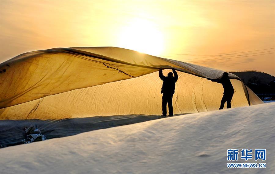 Intel八月發(fā)布新款固態(tài)硬盤 X25