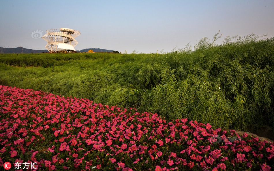 美圖秀秀教程之冷艷變身畫中人！