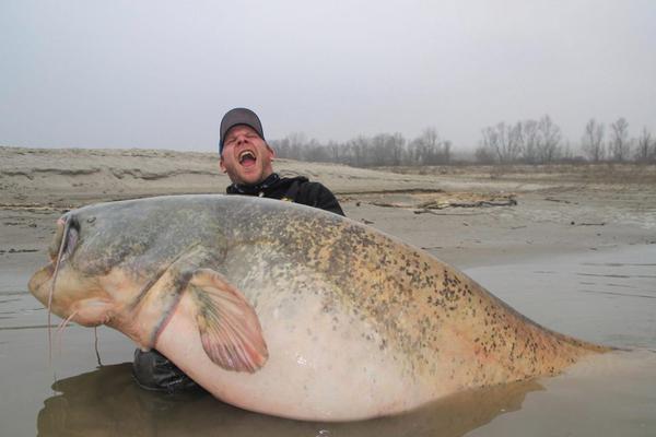 WNBA記者連線采訪時忘記閉麥 直接播放出自己觀看美劇的羞羞片段