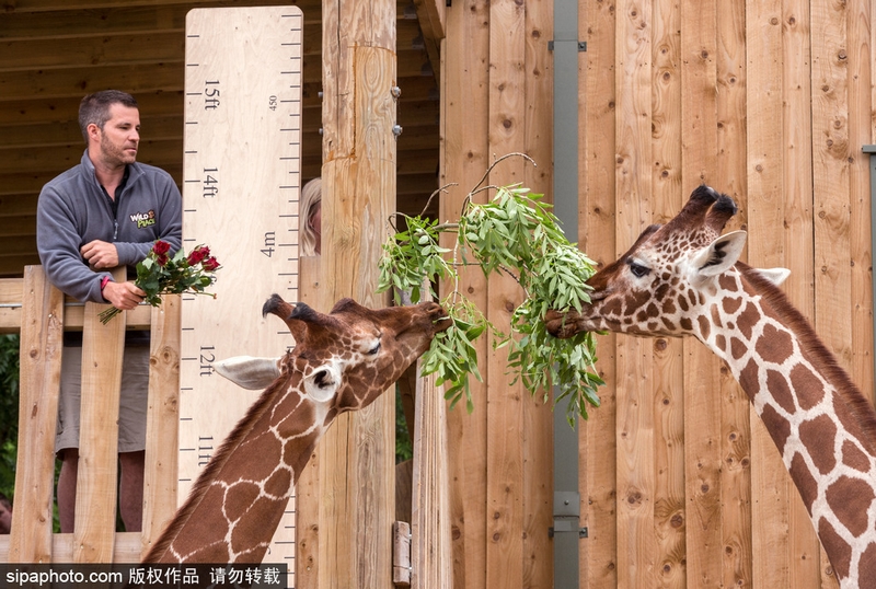 qq表情在哪個文件夾