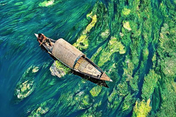 IE瀏覽器主頁確定辦法圖解