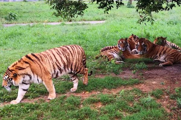 防守大閘！保羅生涯搶斷數(shù)升至歷史第18位