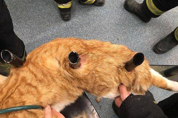 防毒殺毒有哪些誤區(qū)