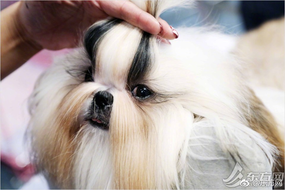 濃眉：我們必須贏下下場比賽