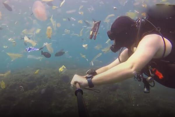 戈壁荒灘上打造“紫色奇觀”——寧夏葡萄酒工業(yè)開展新調(diào)查