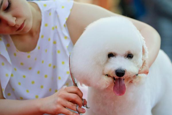 手機西游回合制手游引薦 西游布景板