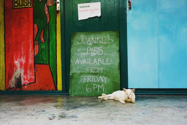 最熱血軍團戰(zhàn)開啟《雪鷹領(lǐng)主》手游新版上線