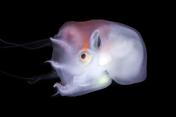 YUMMY教你做美圖之炫彩篇