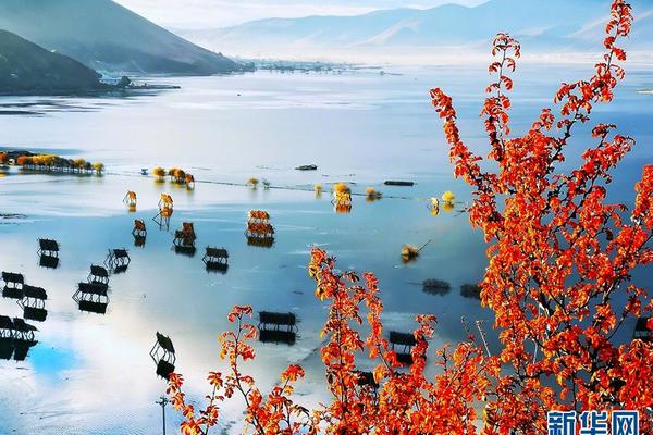 專家演示Gmail縫隙垂釣進犯