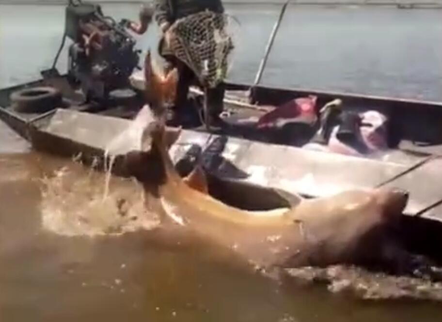 jdk和jre有什么不同？