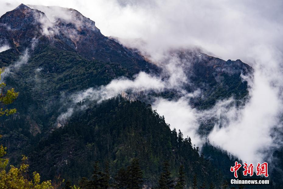 中國風(fēng)的恐懼游戲引薦 靈異恐懼游戲
