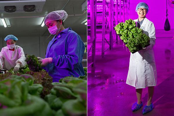 圖示SupeSite7.0收集教程