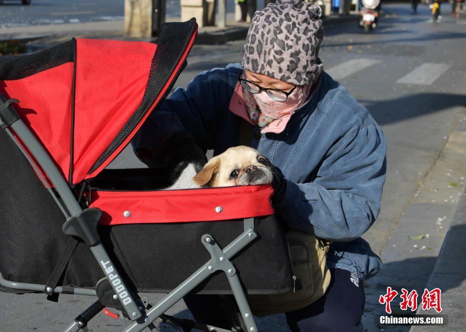 連續(xù)第二次！太陽隊布克將頂替受傷的戴維斯參加全明星賽
