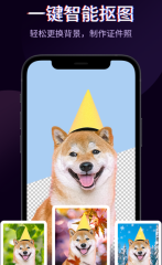 陰陽師新寵物赤雪犬介紹 愛心公益活動看護的契約活動概況[多圖]