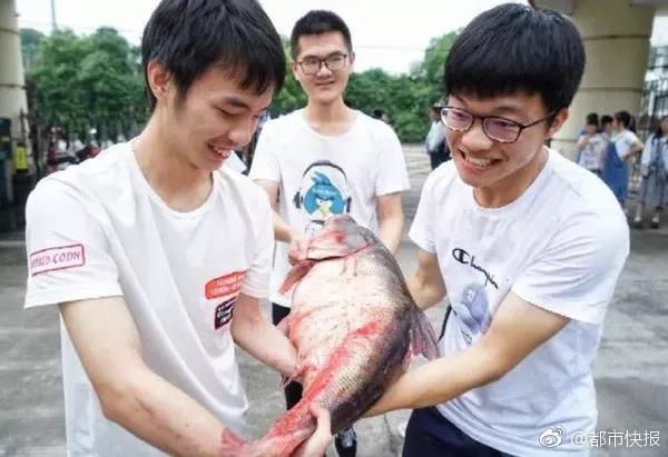 Relevo：因為布拉欣或許回來皇馬，米蘭觸摸阿瓦爾預備免簽