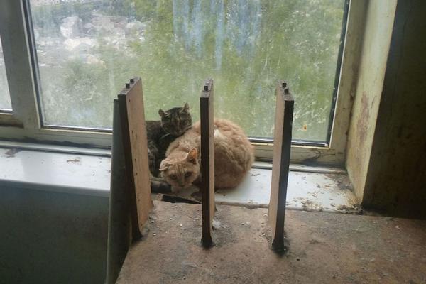 中國女籃排名升至世界第二