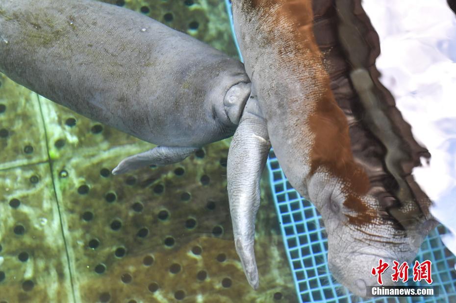 一加Find N5折疊屏手機曝光：大折疊屏幕 8英寸內(nèi)屏 120Hz刷新率