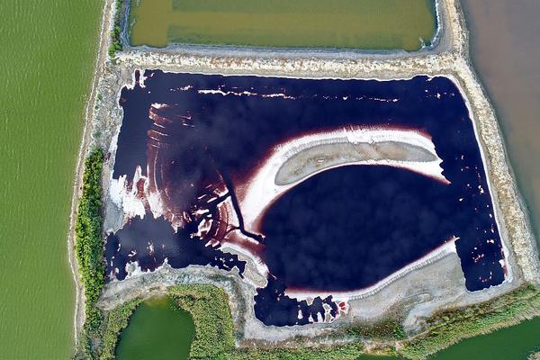 《極無雙2》半周年版別直播今晚來襲！內(nèi)容&福利搶先看！