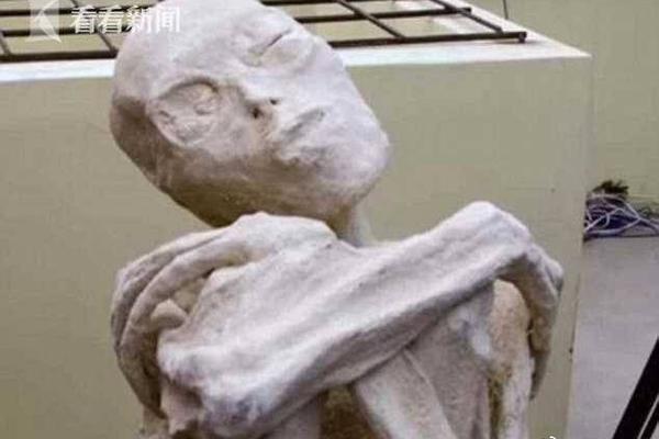 萬王之王3D全新版別今天上線：新增傭兵斗技場、主力空戰(zhàn)等玩法[多圖]