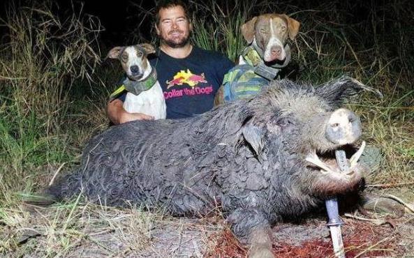 手機5v5推塔游戲手游引薦 熾熱開黑一同MOBA