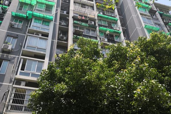 能夠呼喚月靈的傳奇手游引薦 月靈道士傳奇