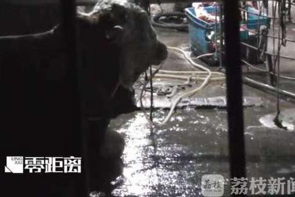 螞蟻進(jìn)化無(wú)敵版游戲官方版 v1.00