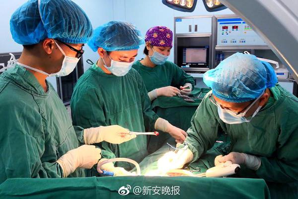 文明重啟怎樣用梯子爬窗戶 用梯子抄家技巧[多圖]