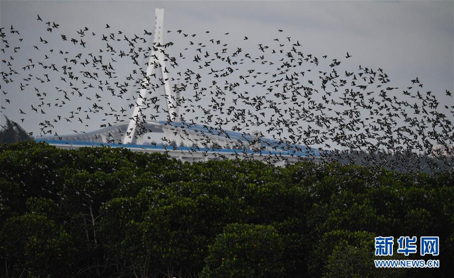 山東朱氏藥業(yè)與華熙生物、修正藥業(yè)等企業(yè)譜寫合作共贏新篇章