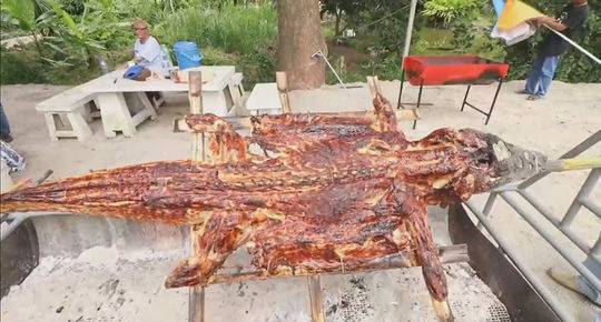 騰訊智能手表多少錢(qián) 騰訊智能手表裝備參數(shù)怎么