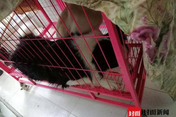 《勇者大作戰(zhàn)》突破次元墻 拼命的時候到了