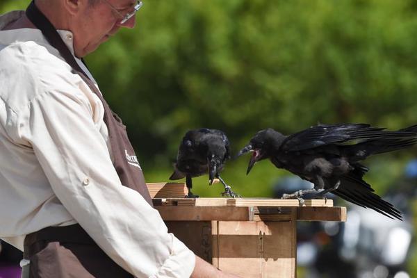天降萌娃 《星辰奇緣》孩子系統(tǒng)原畫展示