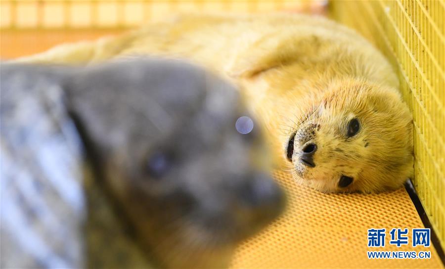 3秒鐘教你qq校友圖標怎樣點亮和怎樣滅