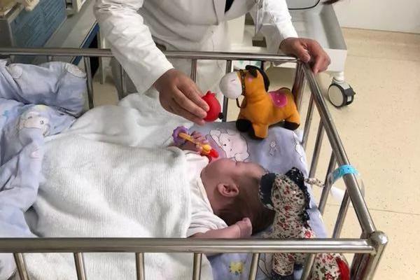 2023年好玩的橫版2D動(dòng)作手游引薦 自創(chuàng)招式打天下