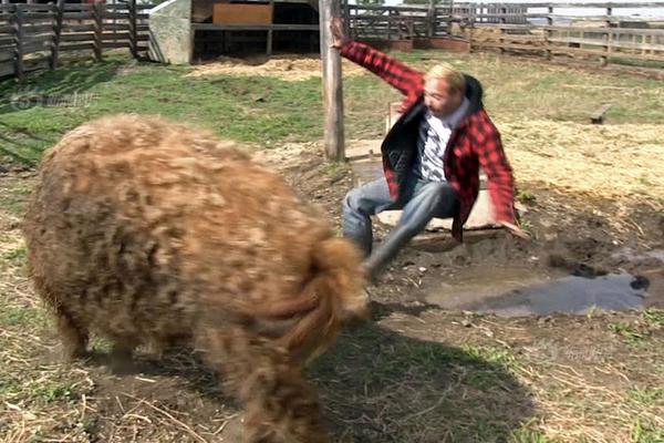 巴特勒：咱們有實(shí)力從頭回來(lái)總決賽