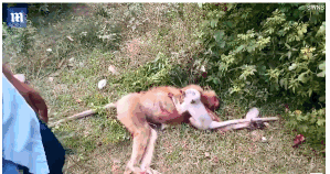 極品神靈伏魔大招 《眾神風(fēng)云》演繹真魔幻