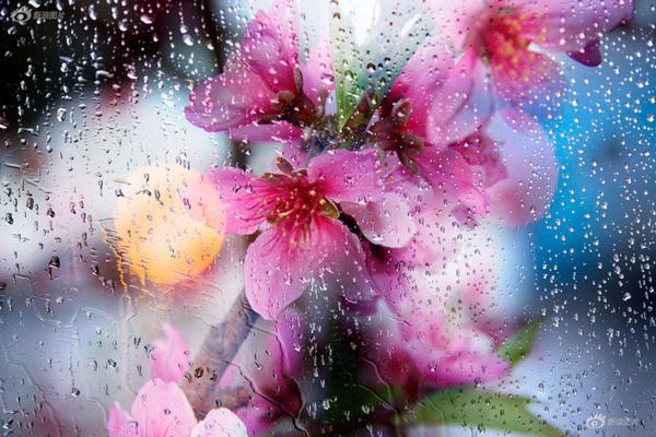 數(shù)智浪潮，揚帆領(lǐng)航?