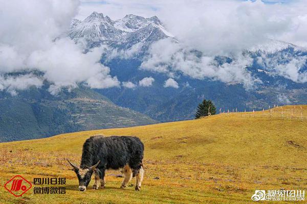 影音前鋒怎么看片 影音前鋒PC版怎么看片