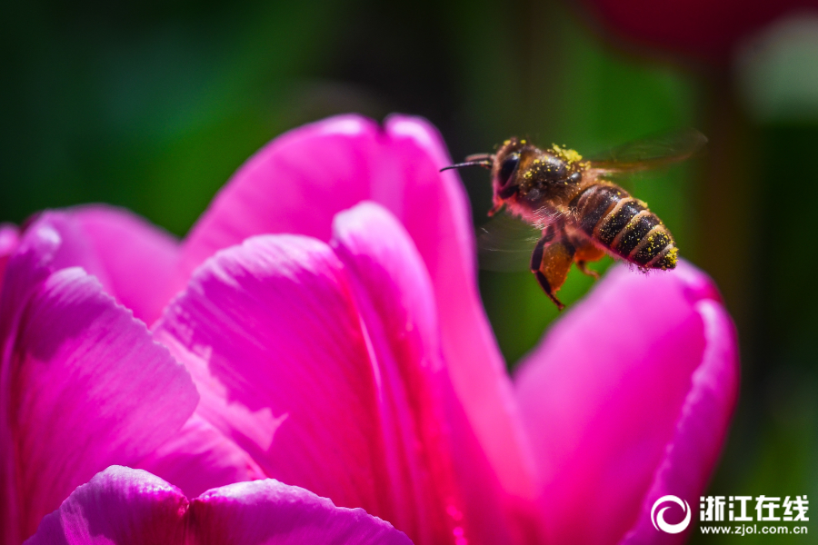 中超河北隊(duì)vs上海上港成果剖析河北能否迎來轉(zhuǎn)型 打敗上海海港