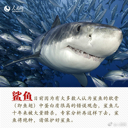 win10自帶錄屏軟件怎樣用？win10錄屏快捷鍵操作方法