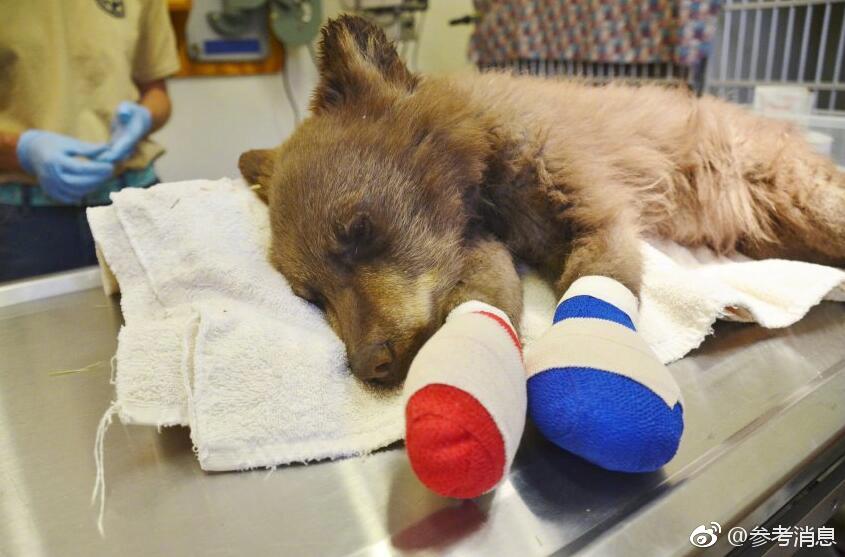 手機網(wǎng)絡(luò)射擊游戲引薦 自在拼裝兵器