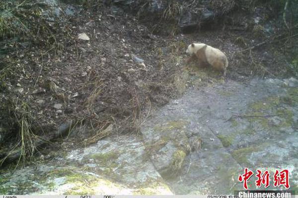 帕克：選秀隊(duì)的壓力比超級(jí)隊(duì)小得多 佩服老詹頂著那么大壓力奪冠