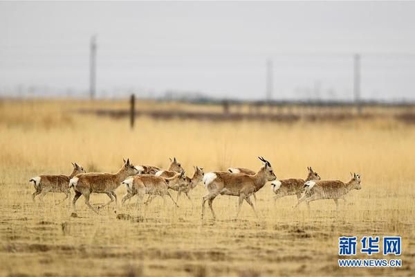 螞蟻莊園3月16日答案 猜一猜世界上第一個鼠標(biāo)的外殼是用什么做的