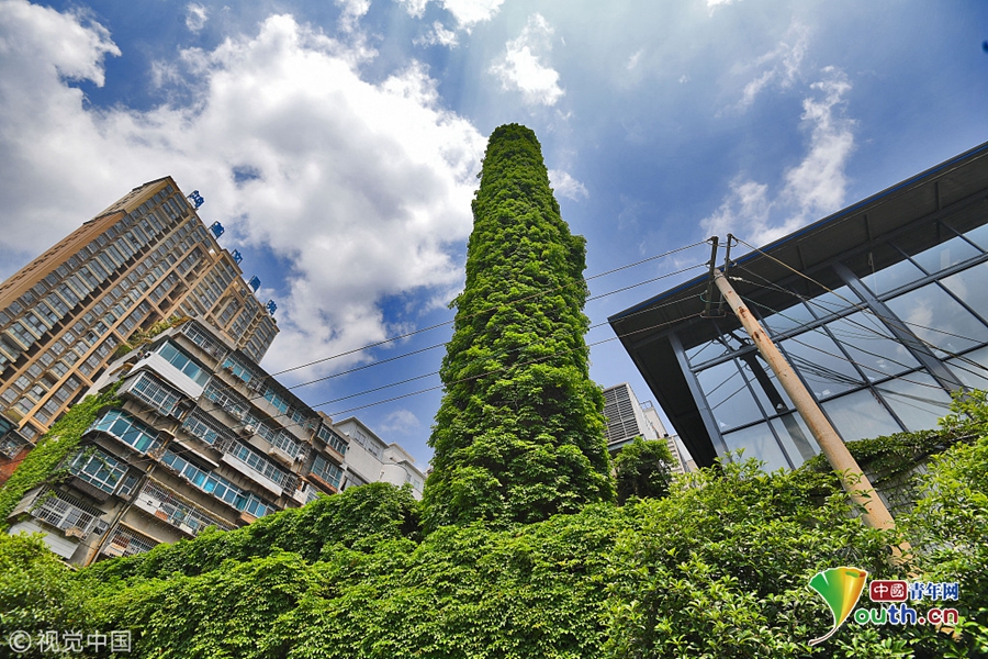 狂歡升級(jí) 《思美人》手游陣營(yíng)戰(zhàn)即將來(lái)襲