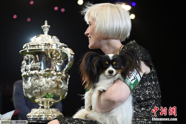 拍大師怎樣增加音樂  拍大師增加音樂、音效教程