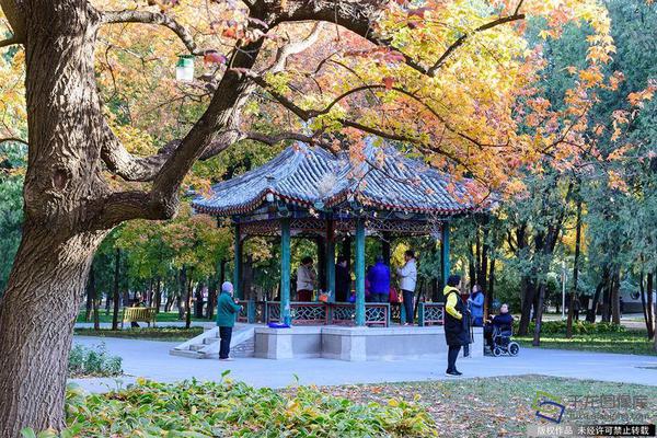 如何用Sony Vegas編排出連接的影片