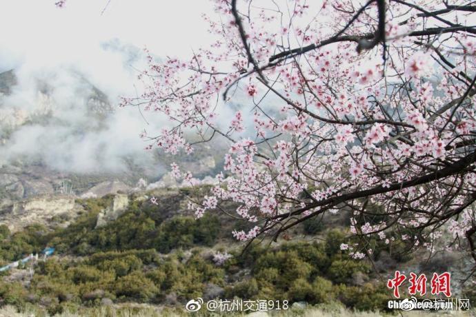 什么是磁盤(pán)陣列卡