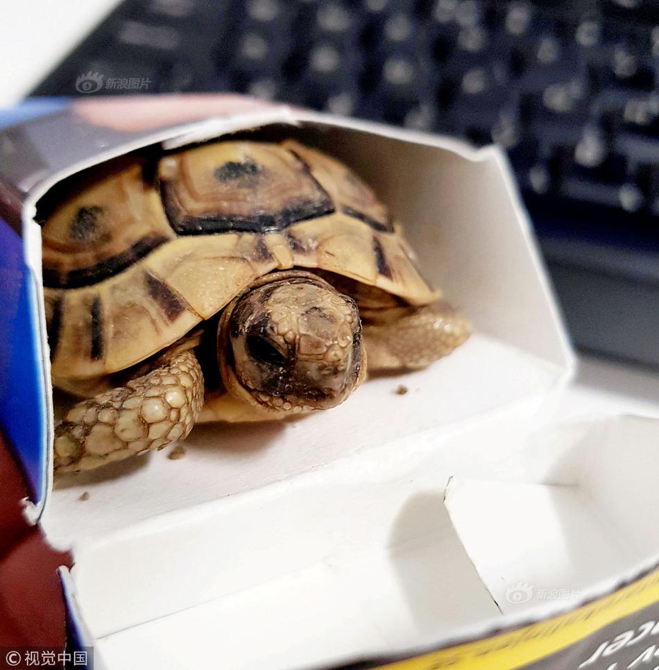 摩西電通的“皇家禮炮”（MK908Bu)無線鍵盤