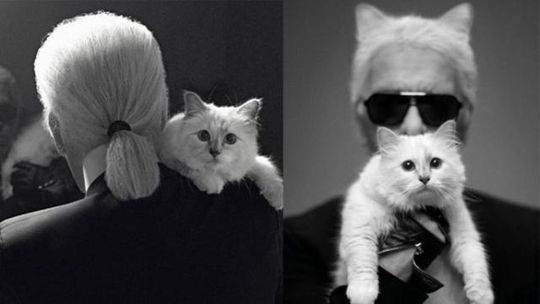 Chrome瀏覽器標(biāo)簽頁收拾技巧：巧用Shift、Ctrl鍵