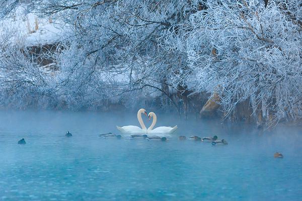 模擬挖掘機建造大樓游戲官方正式版下載 v1.1