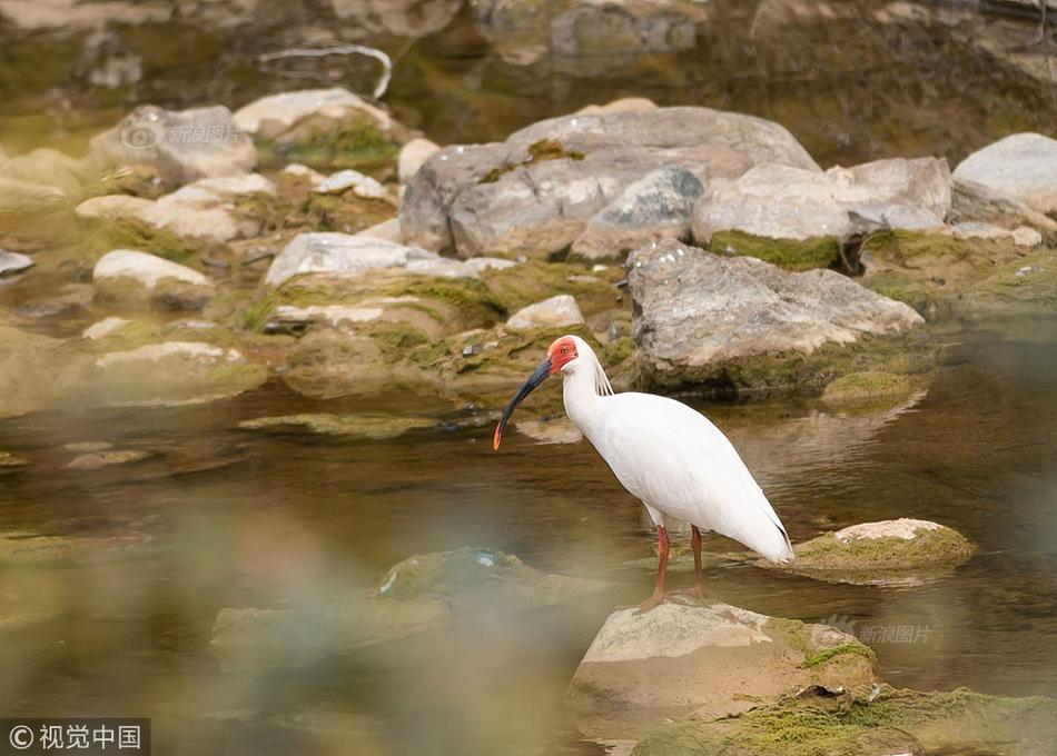 ironSource LevelPlay 聚合渠道宣告與全球聞名游戲發(fā)行商 Tilting Point 協(xié)作晉級